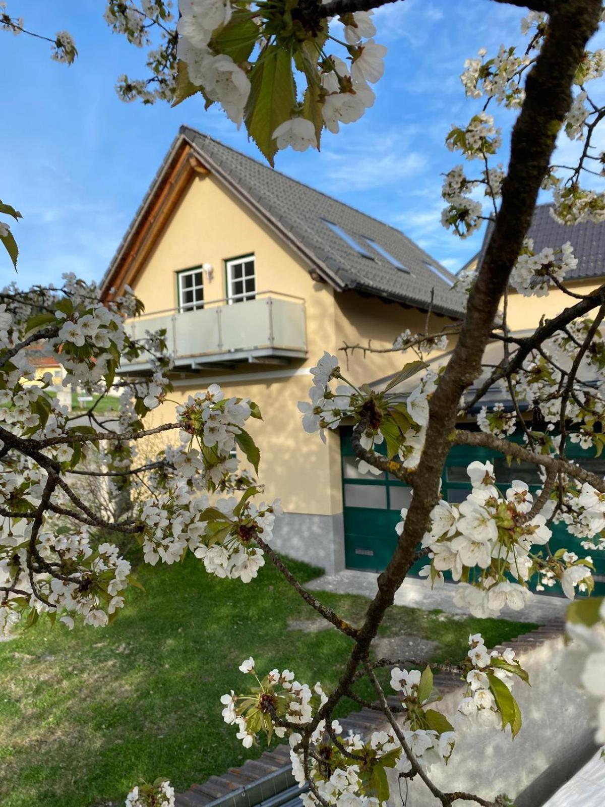 Ferienwohnung in Mariahof Neumarkt in Steiermark ภายนอก รูปภาพ